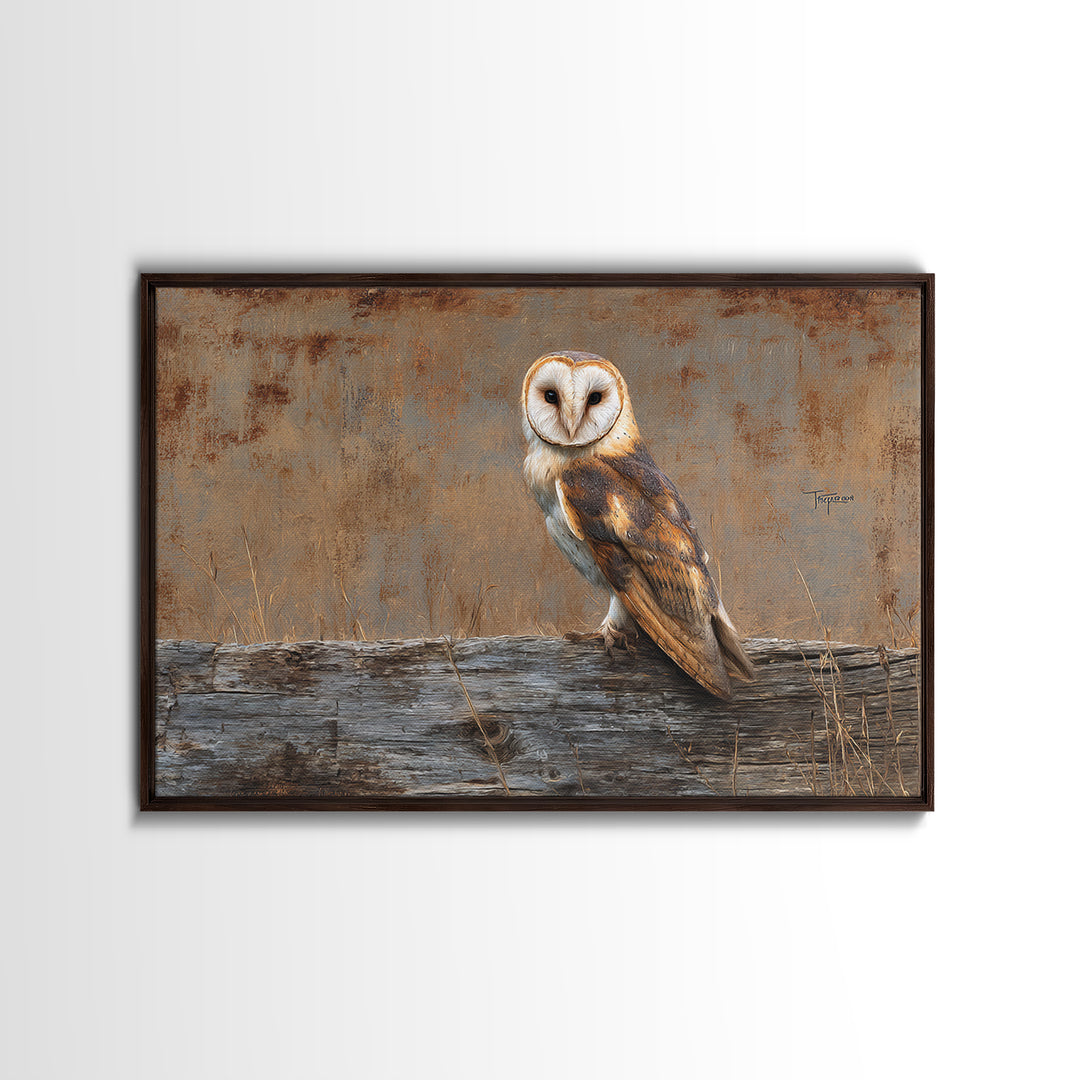 Barn Owl Perched on Aged Wood Framed Canvas Print, Farmhouse Art, Minimalist Decor, Farmhouse Decor, Fine Art, Harvest, FAR-3x2-99