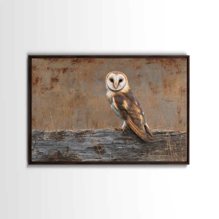 Barn Owl Perched on Aged Wood Framed Canvas Print, Farmhouse Art, Minimalist Decor, Farmhouse Decor, Fine Art, Harvest, FAR-3x2-99