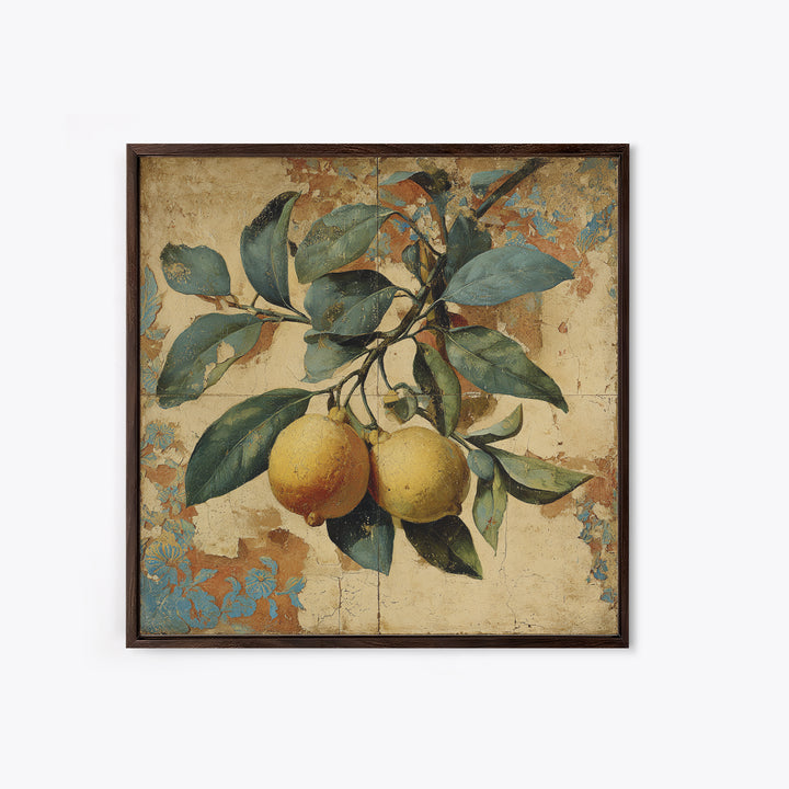 Aged Botanical Plate of Lemons and Leaves Canvas Print, French Country Art, Landscape Wall Art, Farmhouse Decor, Country, FCA-1x1-84