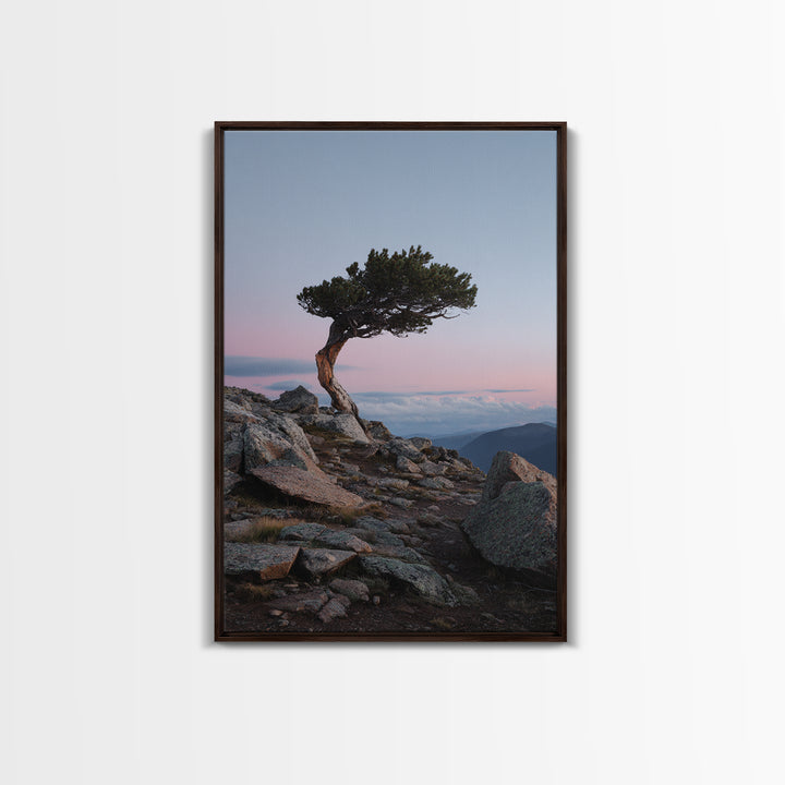 Mountain Trail Runner Framed Canvas Print, Fitness Studio Art, Gym Wall Art, Gym Decor, Fine Art, Motion, Luxury Decor, FSA-2x3-12