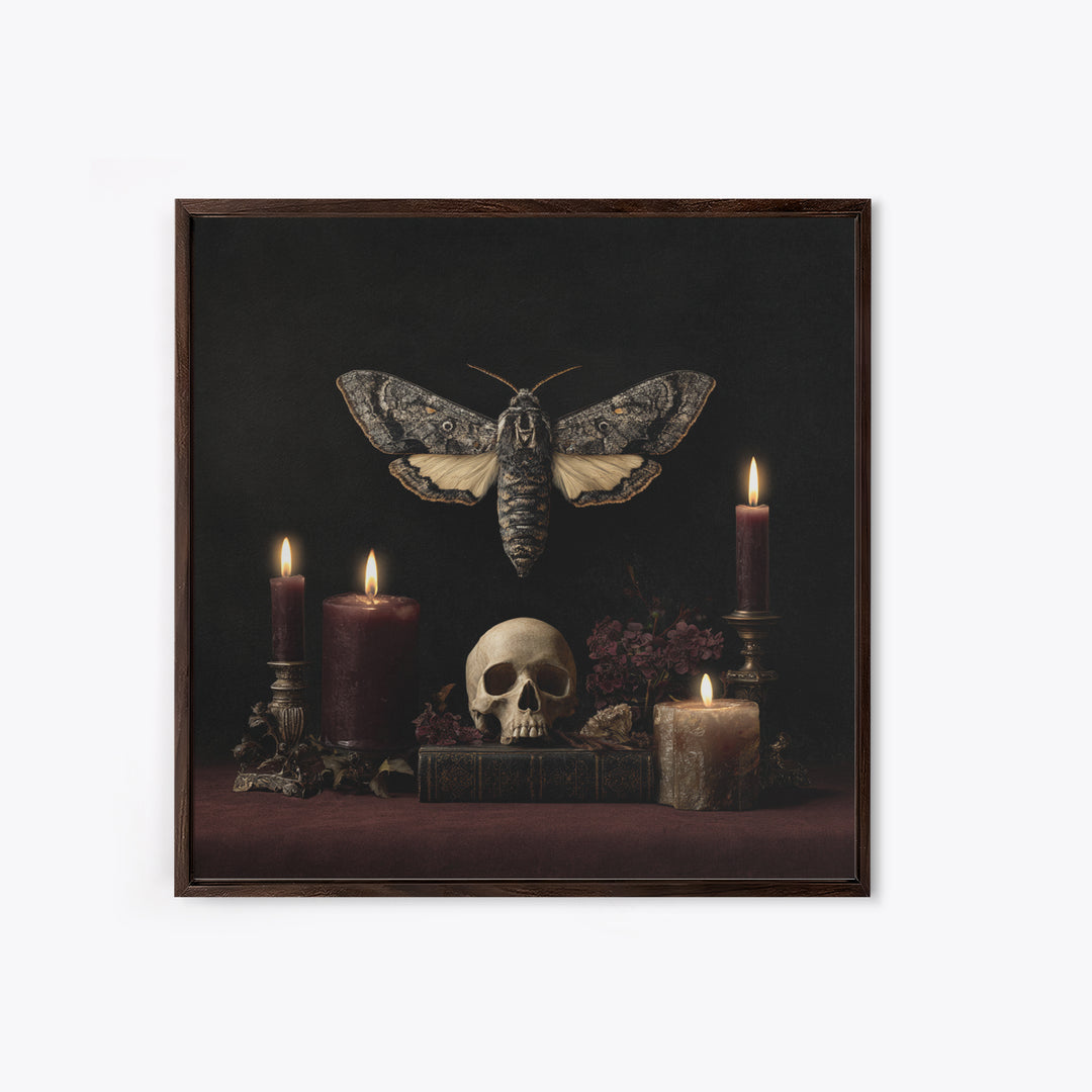 Moth and Skull Composition on Black Velvet Canvas Print, Gothic Art, Canvas Tote Bag, Living Room Decor, Oil Painting, Gothic, GOT-1x1-15