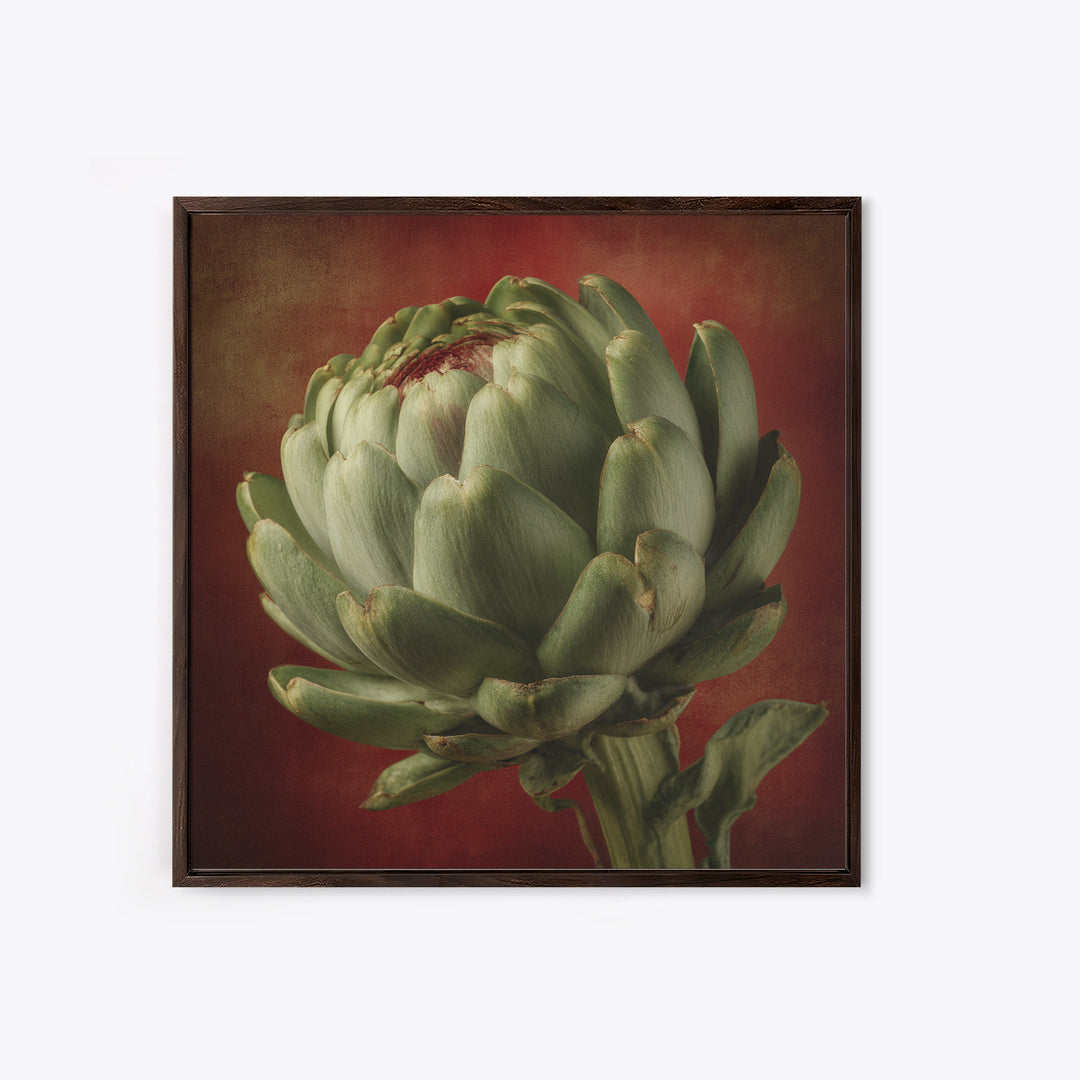 Artichoke Closeup in Painterly Green Tones Canvas Print, Kitchen Art, Prints, Kitchen Decor, Kitchen, Kitchen Wall Decor, KIT-1x1-20
