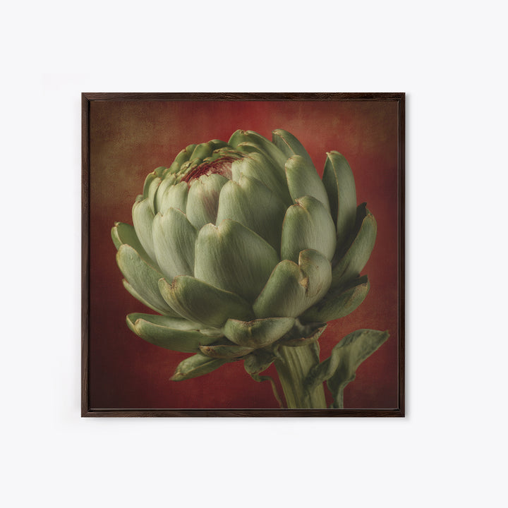 Artichoke Closeup in Painterly Green Tones Canvas Print, Kitchen Art, Prints, Kitchen Decor, Kitchen, Kitchen Wall Decor, KIT-1x1-20