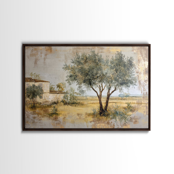 Olive Grove under Pale Morning Light Framed Canvas Print, Mediterranean Art, Nautical Decor, Living Room Decor, Fine Art, Azure, MAR-3x2-69