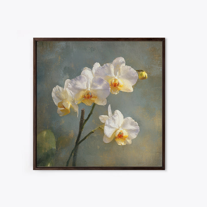 White Orchids Against Warm Gray Background Framed Canvas Print, Master Bedroom, Bedroom Decor, Abstract Art, Sanctuary, MAS-1x1-33