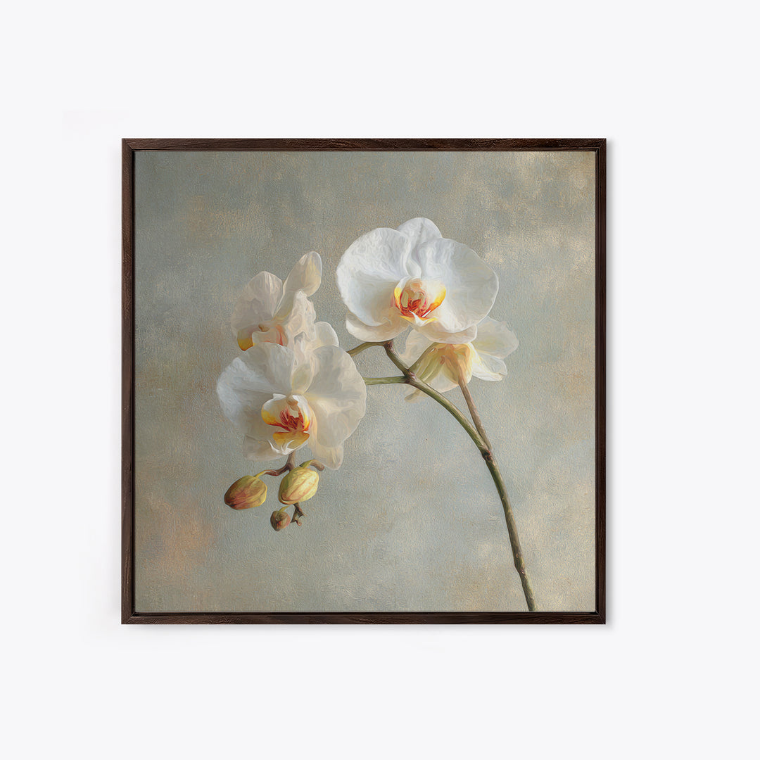 White Orchids Against Warm Gray Background Canvas Print, Master Bedroom, Art Print, Bedroom Decor, Fine Art, Sanctuary, MAS-1x1-81