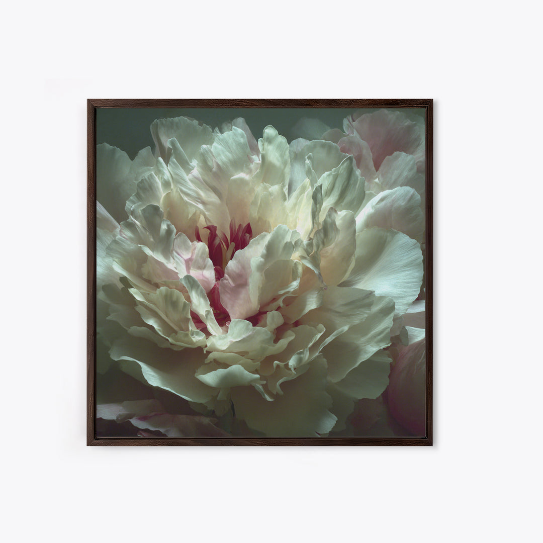 Romantic Neutral Peony Closeup Canvas Print, Master Bedroom, Textured Painting, Bedroom Decor, Fine Art, Sanctuary, Wall Decal, MAS-1x1-98