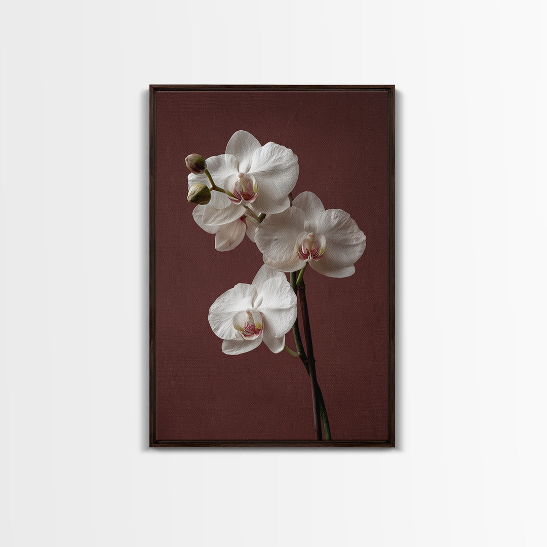 White Orchids Against Warm Gray Background Framed Canvas Print, Master Bedroom, Canvas Print, Bedroom Decor, Abstract Art, MAS-2x3-17