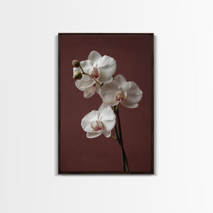 White Orchids Against Warm Gray Background Framed Canvas Print, Master Bedroom, Canvas Print, Bedroom Decor, Abstract Art, MAS-2x3-17