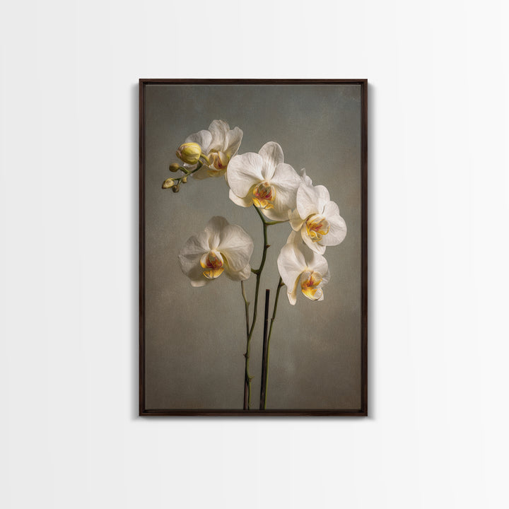 White Orchids Against Warm Gray Background Canvas Print, Master Bedroom, Farmhouse Wall Art, Bedroom Decor, Fine Art, Sanctuary, MAS-2x3-65