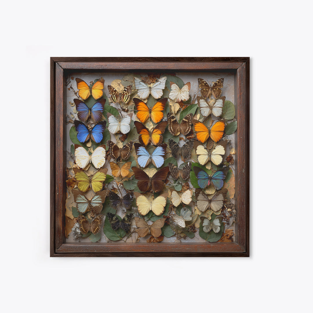 Framed Butterfly Collection Framed Canvas Print, Maximalist Art, Moody Wall Art, Living Room Decor, Fine Art, Maximal, MAX-1x1-71