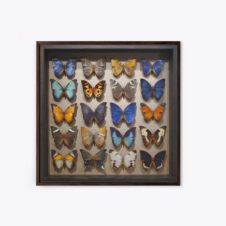 Framed Butterfly Collection Canvas Print, Maximalist Art, Fine Art Print, Living Room Decor, Fine Art, Maximal, Digital Prints, MAX-1x1-95