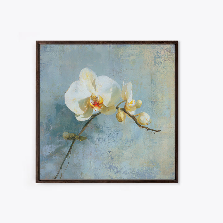 White Orchid on Gray Stone Surface Framed Canvas Print, Medical Office Art, Medical Wall Art, Office Decor, Fine Art, Calm, MOA-1x1-6