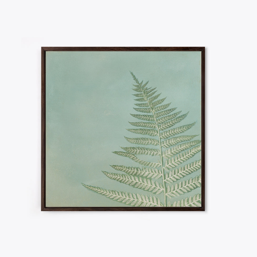 Minimal Green Fern Specimen Framed Canvas Print, Medical Office Art, Modern Decor, Office Decor, Fine Art, Calm, Home Decor, MOA-1x1-80