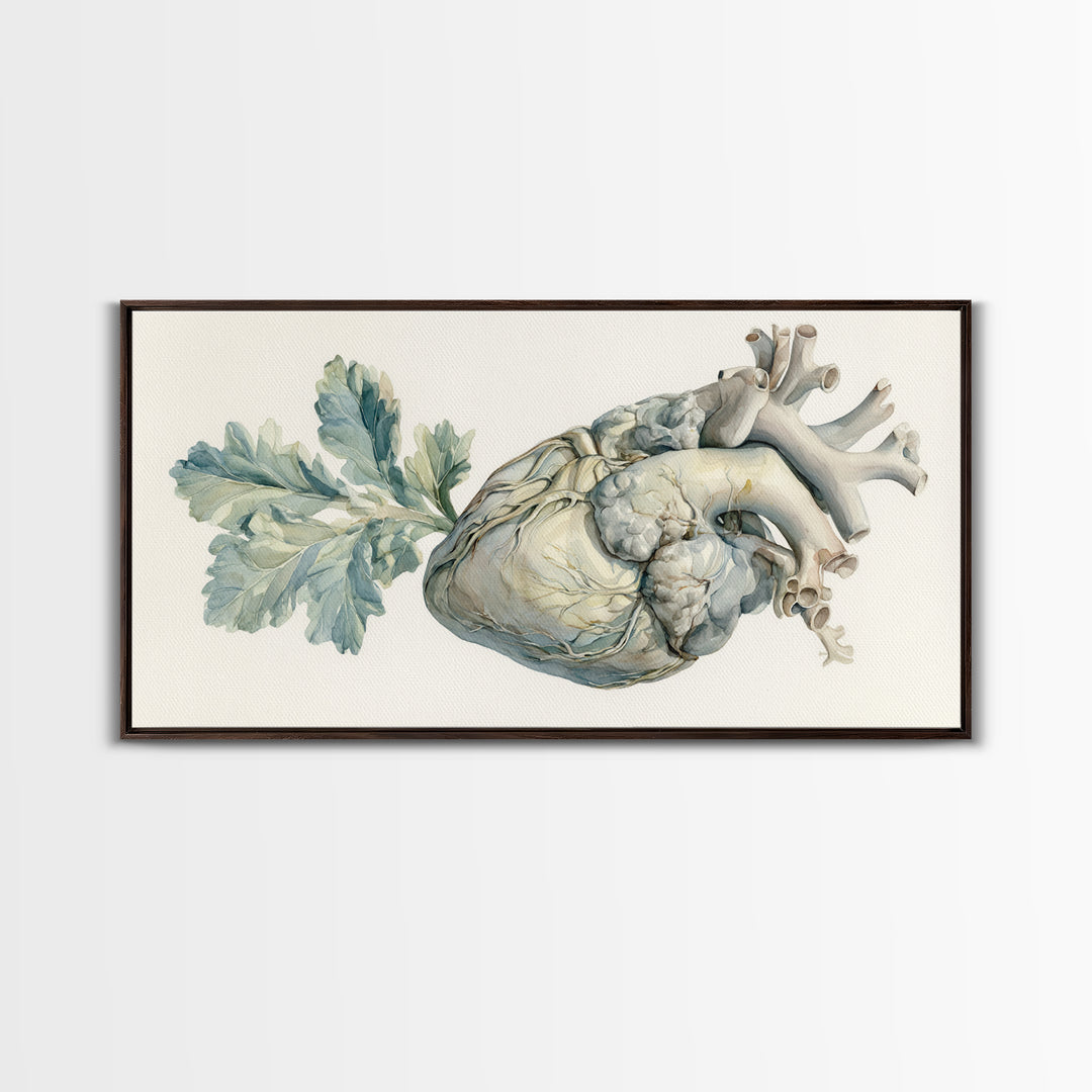 Anatomical Heart Rendered as Tasteful Botanical Art Canvas Print, Medical Office Art, Minimalist Art, Office Decor, Calm, MOA-2x1-81