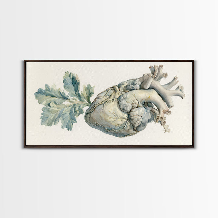 Anatomical Heart Rendered as Tasteful Botanical Art Canvas Print, Medical Office Art, Minimalist Art, Office Decor, Calm, MOA-2x1-81