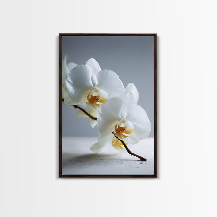 White Orchid on Gray Stone Surface Canvas Print, Medical Office Art, Art Print, Office Decor, Oil Painting, Calm, Printable Art, MOA-2x3-14