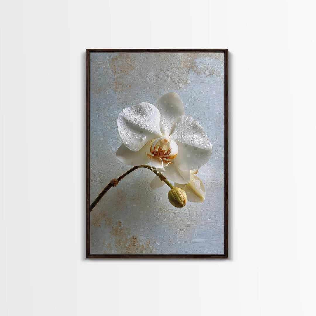 White Orchid on Gray Stone Surface Canvas Print, Medical Office Art, Digital Wall Art, Office Decor, Calm, Healthcare Wall Art, MOA-2x3-86