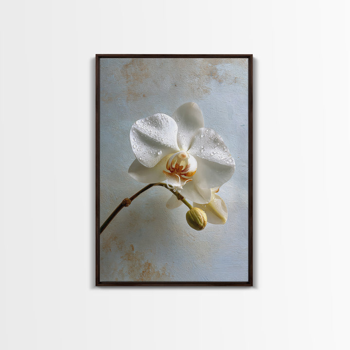 White Orchid on Gray Stone Surface Canvas Print, Medical Office Art, Digital Wall Art, Office Decor, Calm, Healthcare Wall Art, MOA-2x3-86