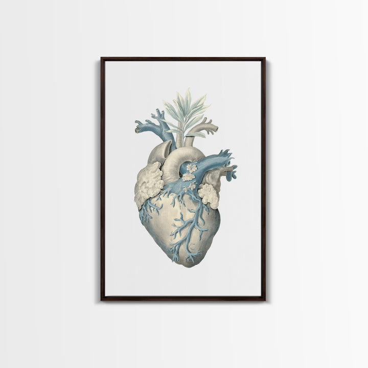 Anatomical Heart Rendered as Tasteful Botanical Art Canvas Print, Medical Office Art, Dental Office Decor, Office Decor, Calm, MOA-2x3-93