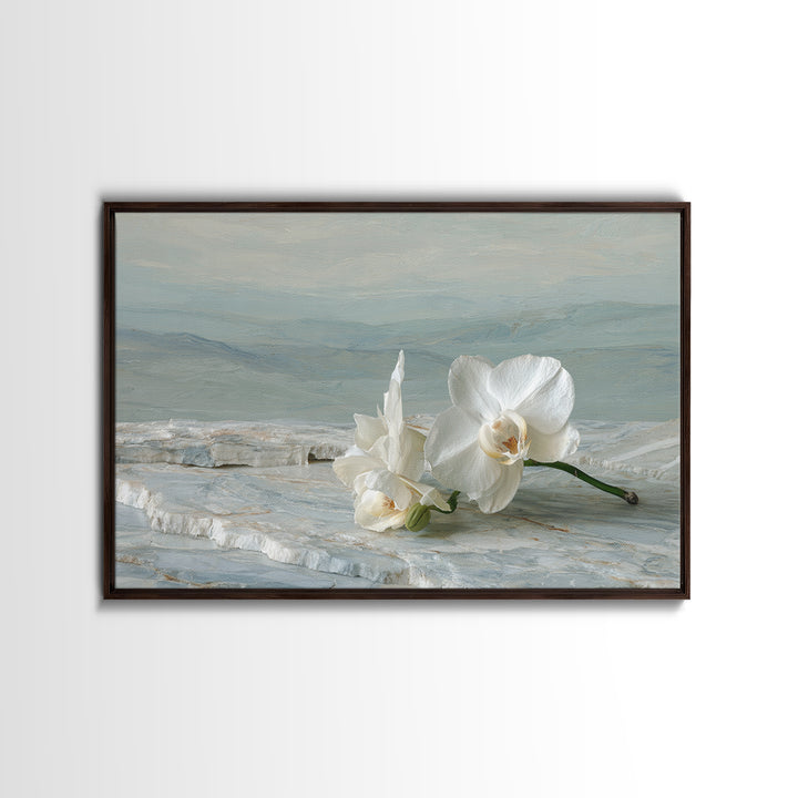 White Orchid on Gray Stone Surface Framed Canvas Print, Medical Office Art, Animal Art, Office Decor, Fine Art, Calm, MOA-3x2-10