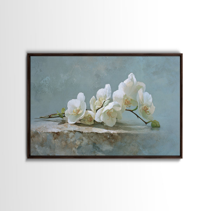 White Orchid on Gray Stone Surface Canvas Print, Medical Office Art, Brain Poster, Office Decor, Fine Art, Calm, Medical School, MOA-3x2-34