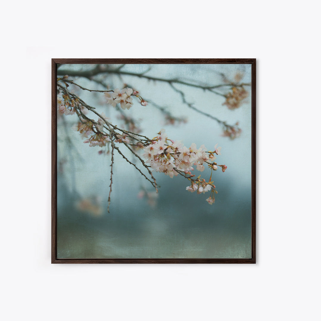 Spring Cherry Blossoms Framed Canvas Print, Nature Art, Art Print, Living Room Decor, Fine Art, Nature, Printable Wall Art, NAT-1x1-40
