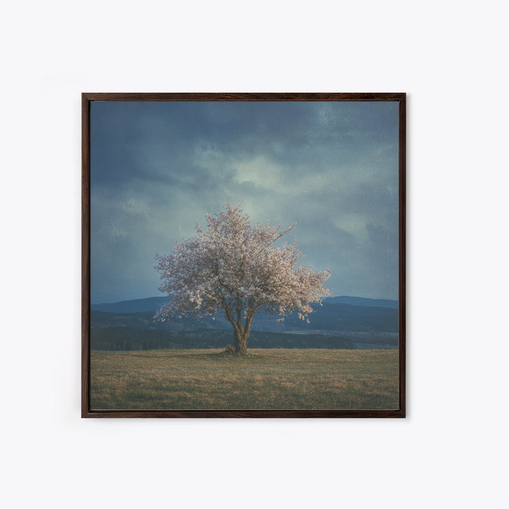 Spring Cherry Blossoms Framed Canvas Print, Nature Art, Modern Wall Art, Living Room Decor, Fine Art, Nature, Mountain Art, NAT-1x1-64
