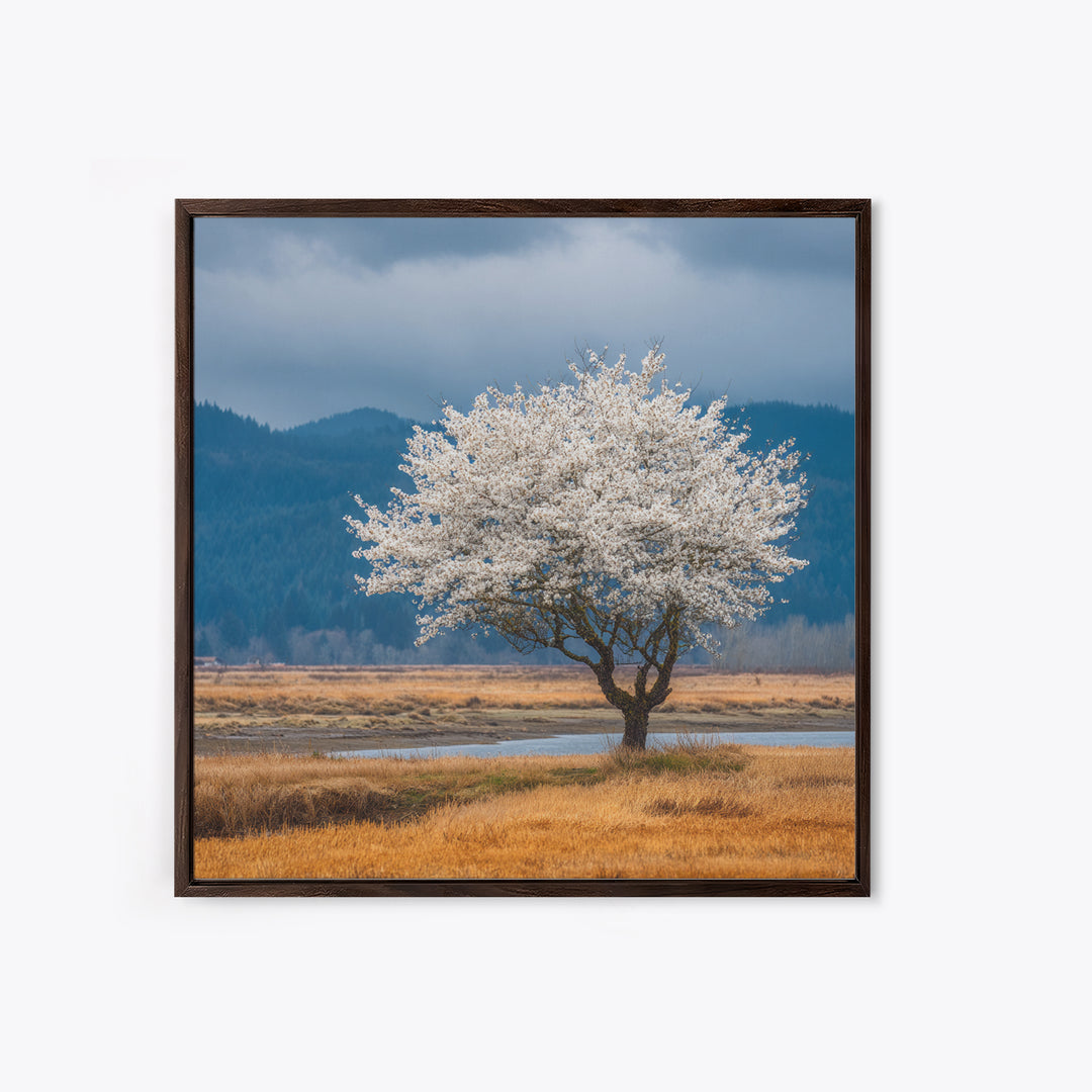 Spring Cherry Blossoms Framed Canvas Print, Nature Art, Textured Painting, Living Room Decor, Fine Art, Nature, NAT-1x1-88