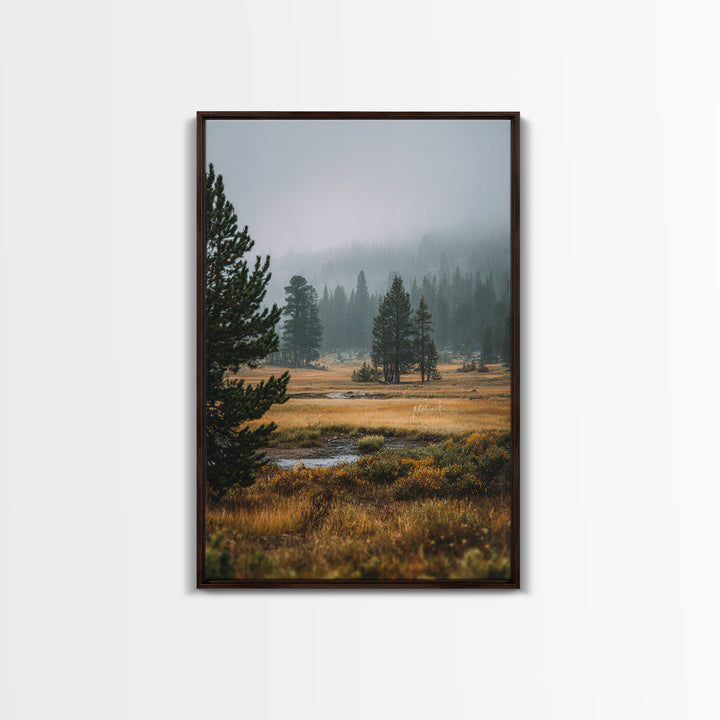 Moody Pine Forest Framed Canvas Print, Nature Art, Framed Art, Living Room Decor, Nature, Botanical Art, Digital Download Art, NAT-2x3-73