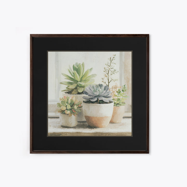 Succulent Collection in Ceramic Planters Framed Canvas Print, Patio Art, Mixed Media Art, Patio Decor, Fine Art, Outdoor, PAT-1x1-21