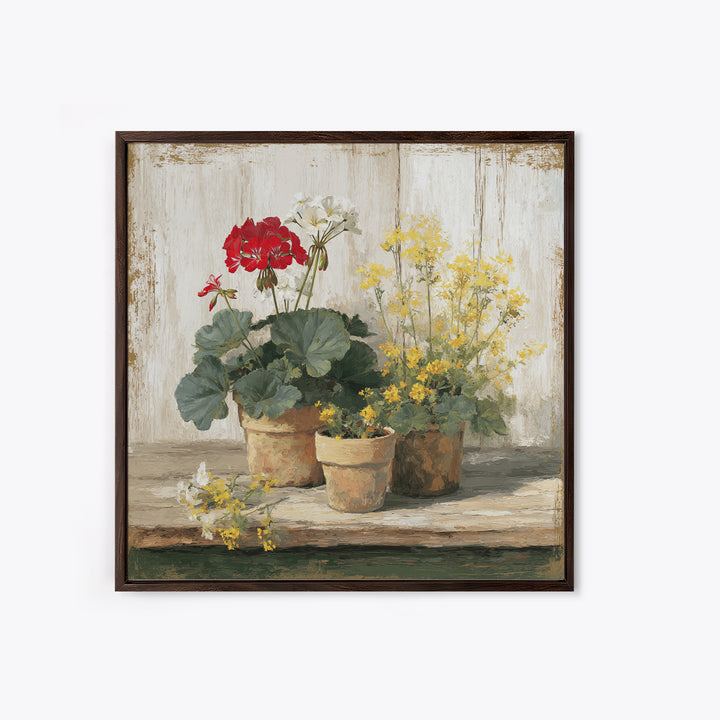 Potted Geraniums in Rustic Clay Pots Framed Canvas Print, Patio Art, Family Wall Art, Patio Decor, Fine Art, Outdoor, PAT-1x1-38