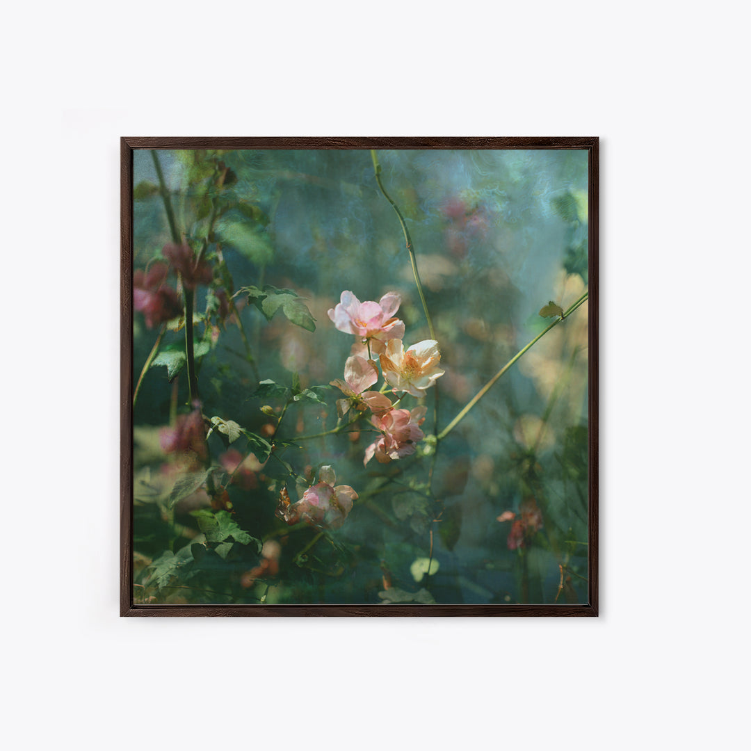 Sunset over Garden Flowers and Vines Framed Canvas Print, Patio Art, Fine Art Print, Patio Decor, Fine Art, Outdoor, Wall Decor, PAT-1x1-79