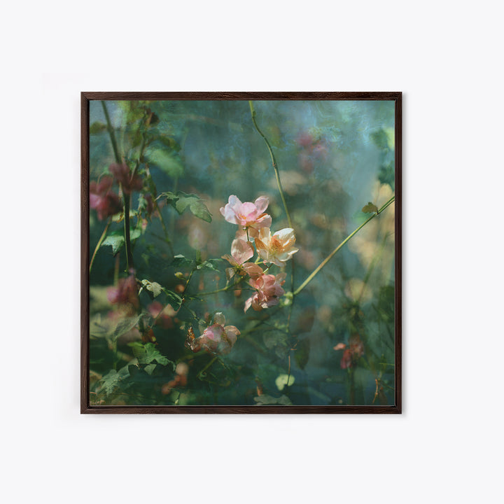 Sunset over Garden Flowers and Vines Framed Canvas Print, Patio Art, Fine Art Print, Patio Decor, Fine Art, Outdoor, Wall Decor, PAT-1x1-79
