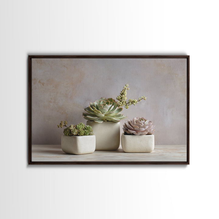 Succulent Collection in Ceramic Planters Framed Canvas Print, Patio Art, Patio Decor, Abstract Art, Outdoor, Gallery Decor, PAT-3x2-25