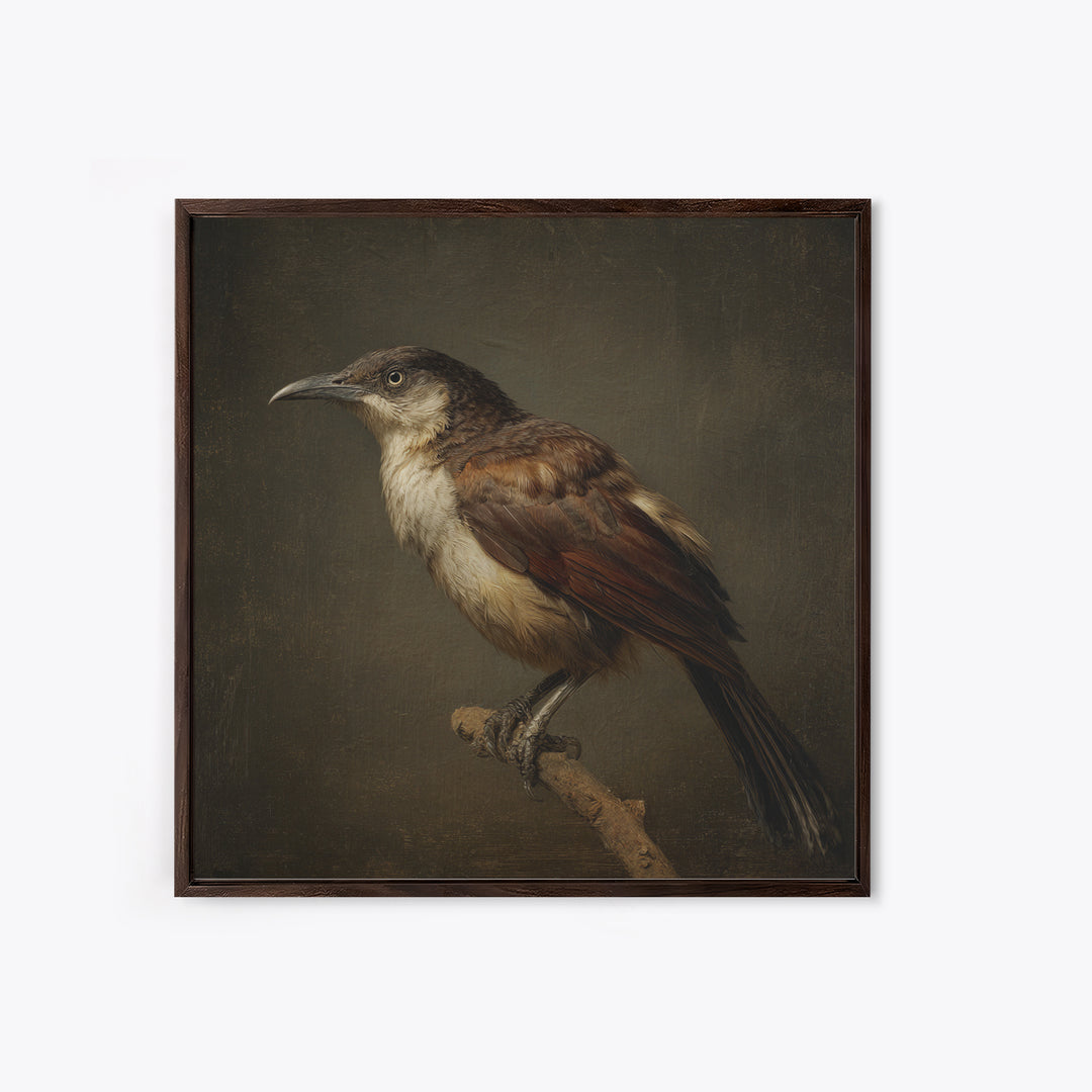 Old Master Bird Study Canvas Print, Renaissanceinspired Art, Floral Painting, Living Room Decor, Fine Art, Classic, Art Print, REN-1x1-95