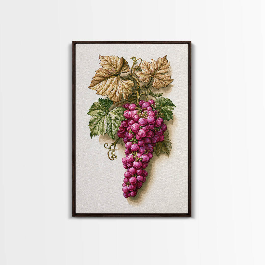 Wine Grapevine Botanical Study Canvas Print, Restaurant Art, Canvas, Restaurant Decor, Fine Art, Bistro, Living Room Decor, RES-2x3-23