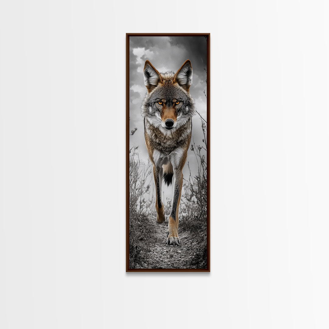 Intense Coyote Stare Framed Canvas Print | Wildlife Wall Art | Rustic Decor | Moody Art | Southwest Wall Art | Above Sofa Art | Gift Idea