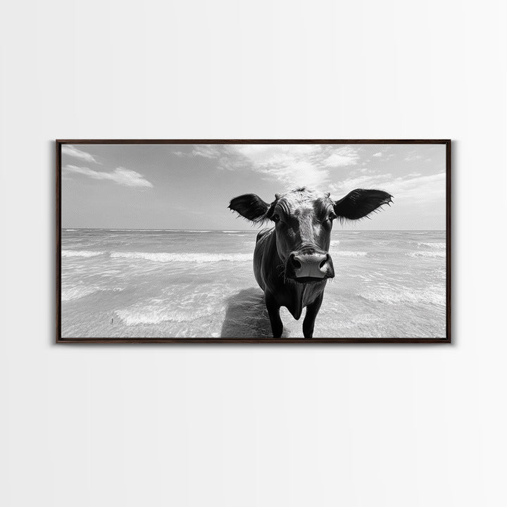 Curious Beach Cow, coastal wall art, cow painting, whimsical art, black and white photography, farmhouse decor, seascape painting, Canvas Print