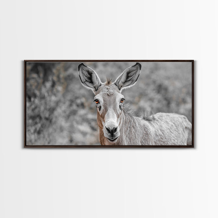 Donkey Close-Up Framed Canvas Print | Rustic Farmhouse Art | Moody Animal Portrait | Southwest Wall Art | Extra Wide Art | Above Couch Decor