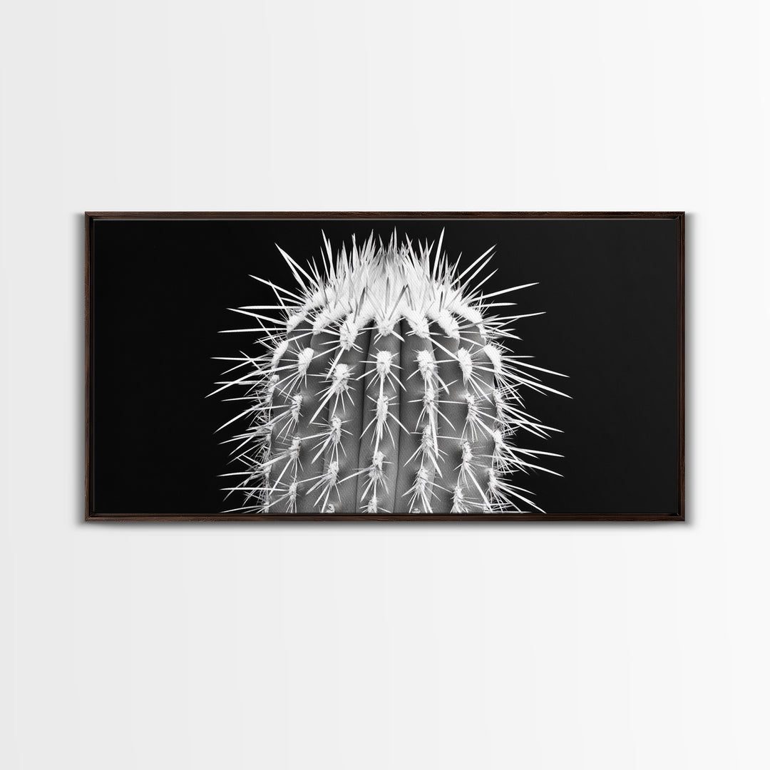 Cactus Spines, southwest wall art, desert art, botanical prints, geometric wall art, nature photography, sharp contrast, Framed Canvas Print