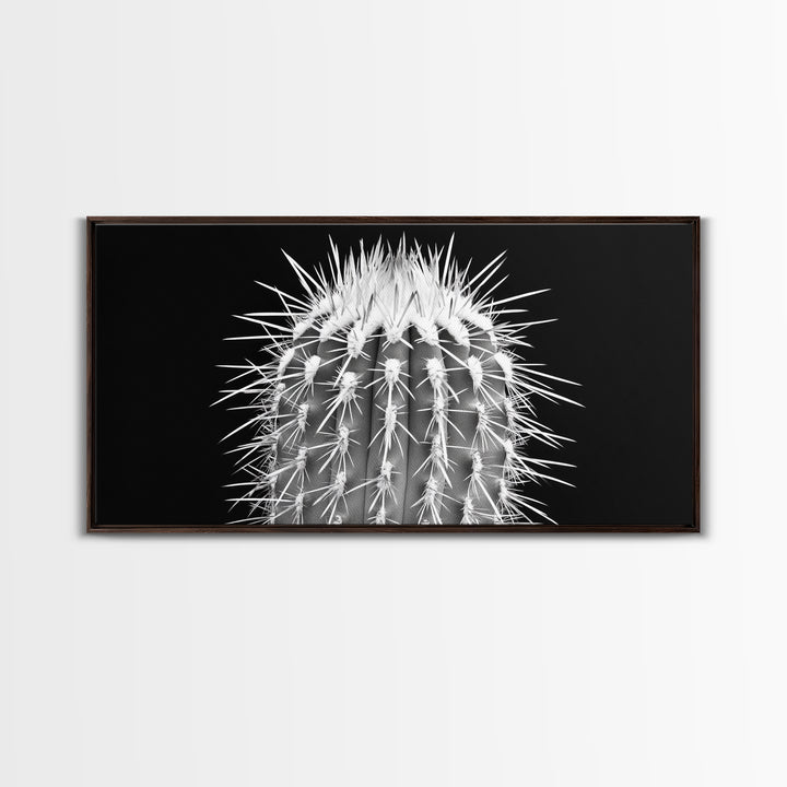 Cactus Spines, southwest wall art, desert art, botanical prints, geometric wall art, nature photography, sharp contrast, Framed Canvas Print