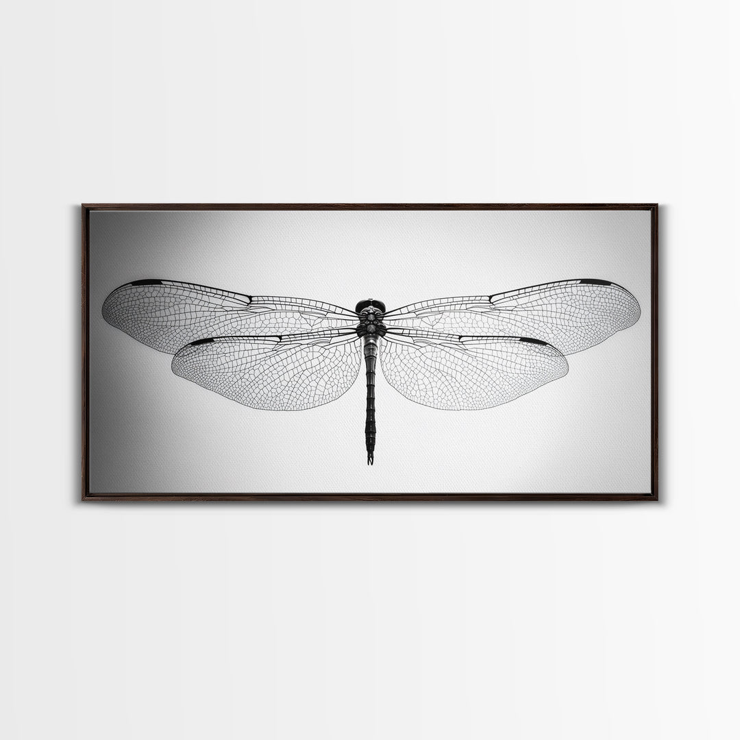 Dragonfly, line art, minimalist art, black and white art, nature painting, botanical prints, extra wide art, framed canvas print