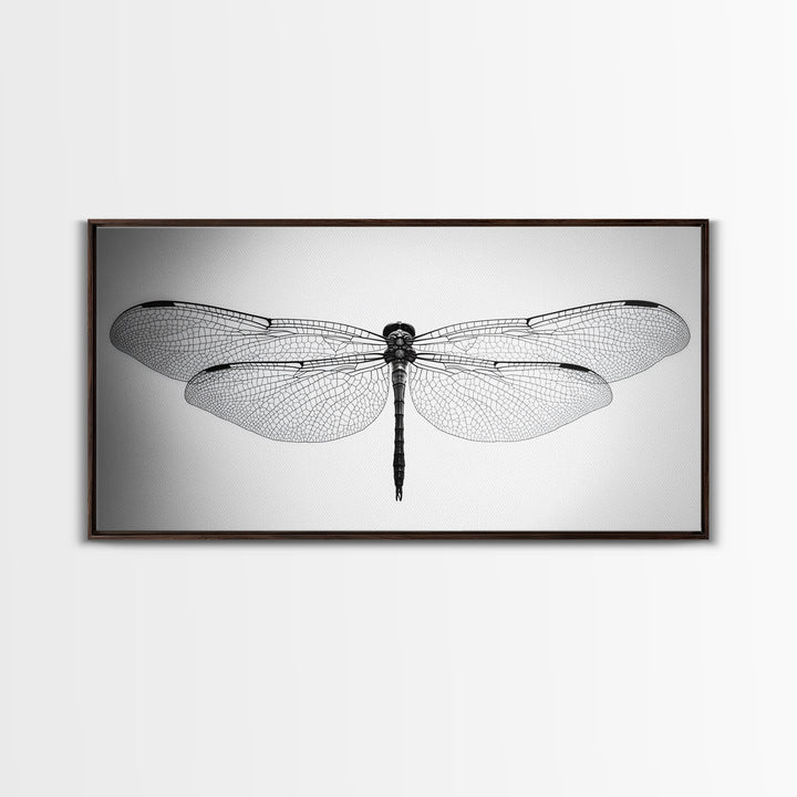 Dragonfly, line art, minimalist art, black and white art, nature painting, botanical prints, extra wide art, framed canvas print