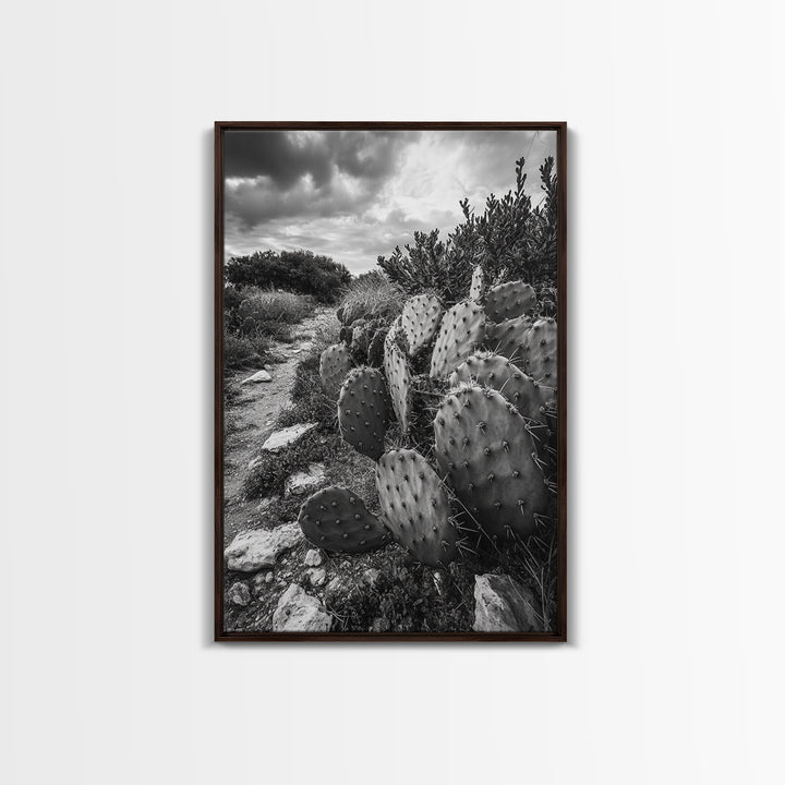 Cactus Trail, southwest wall art, rustic decor, desert painting, wabi sabi art, nature landscape art, framed canvas print, farmhouse decor
