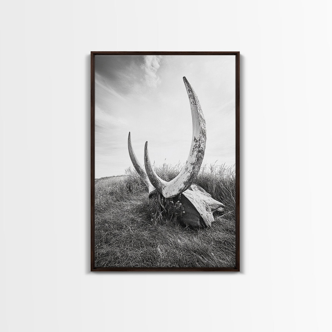 Large horns, rustic skull, bull and bear art, moody wall art, desert decor, cowboy aesthetic, framed canvas print, minimalist art