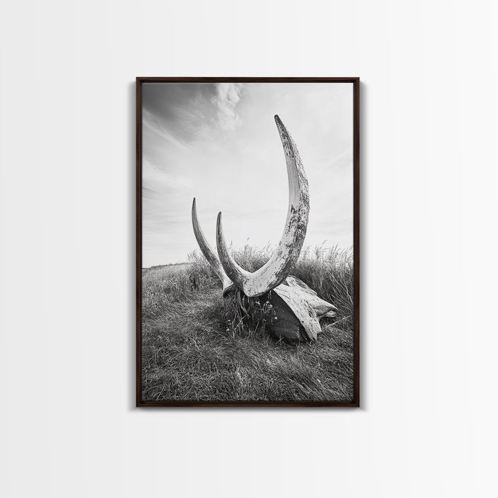 Large horns, rustic skull, bull and bear art, moody wall art, desert decor, cowboy aesthetic, framed canvas print, minimalist art