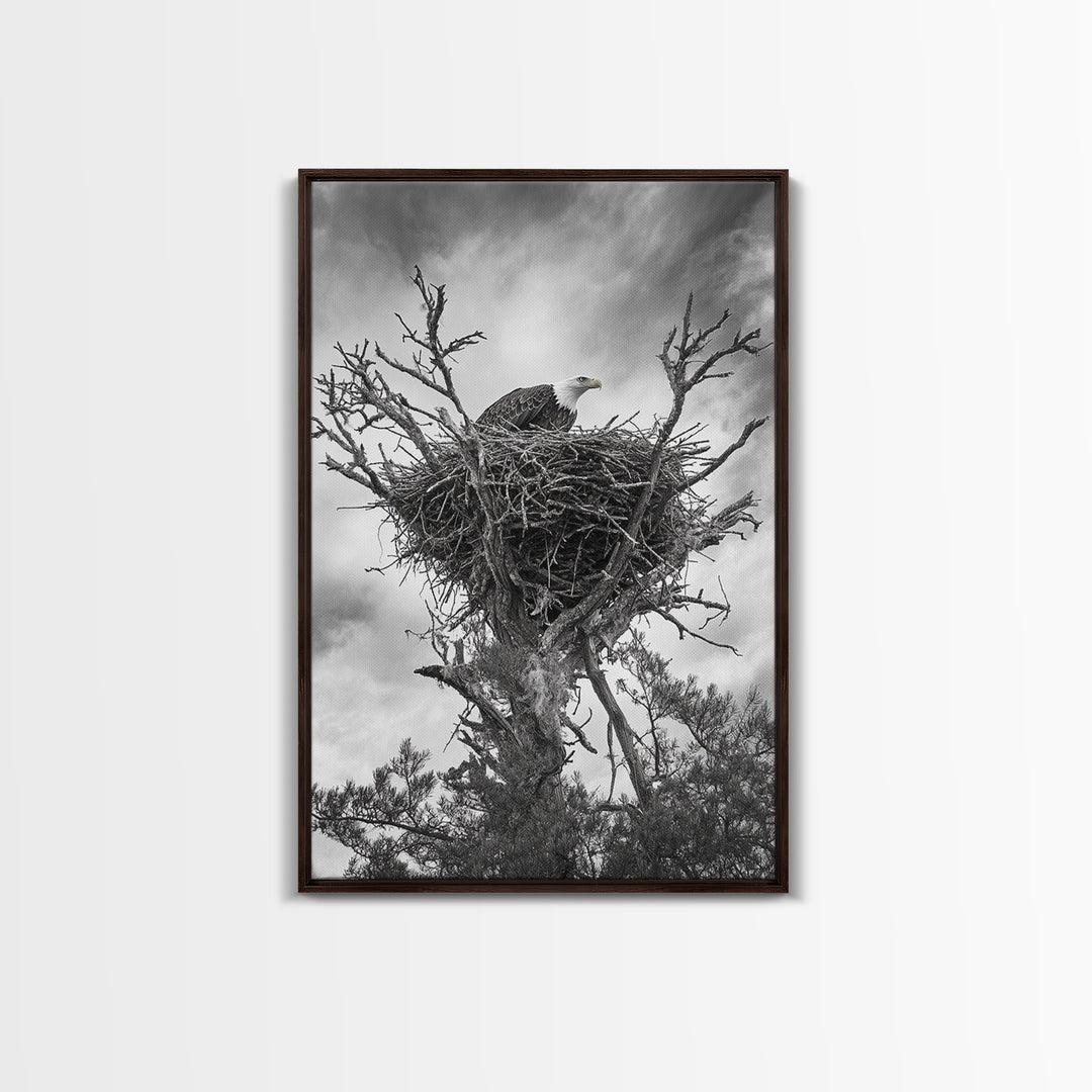 Bald Eagle, bird art, nature photography, moody art, rustic decor, patriotic wall art, black and white, framed canvas print, wildlife art