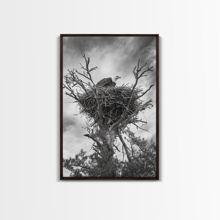 Bald Eagle, bird art, nature photography, moody art, rustic decor, patriotic wall art, black and white, framed canvas print, wildlife art
