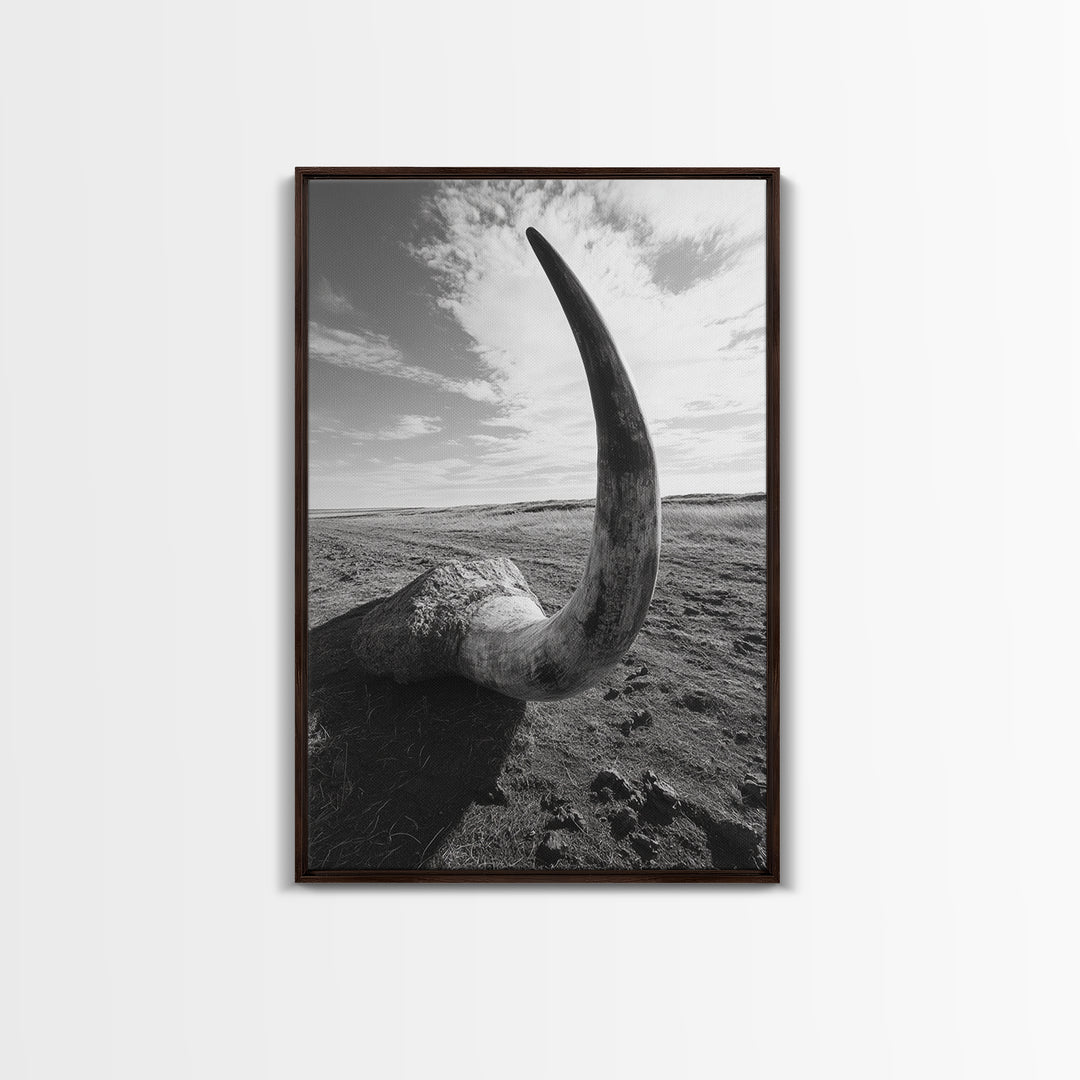 Lone Horn, desert minimalism, rustic western art, wabi sabi decor, moody photography, framed canvas print, black and white, southwest art